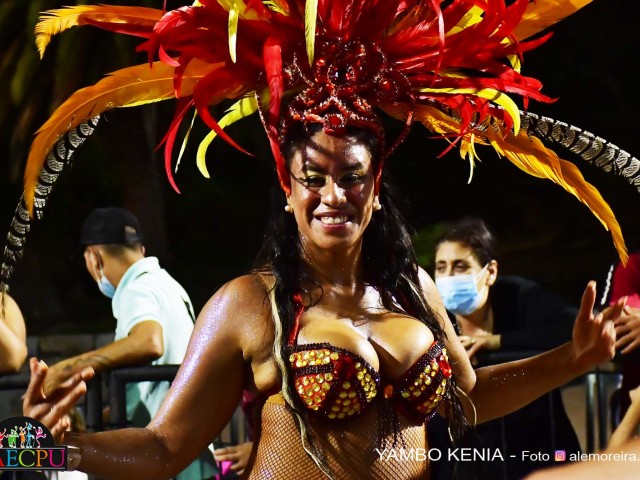 desfile 206